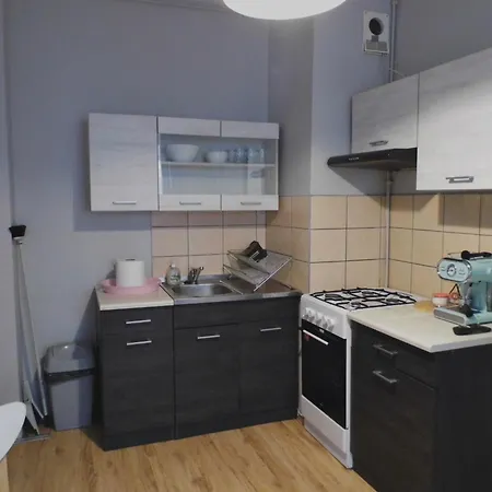 Zabrze-zaborze 11 Apartment *